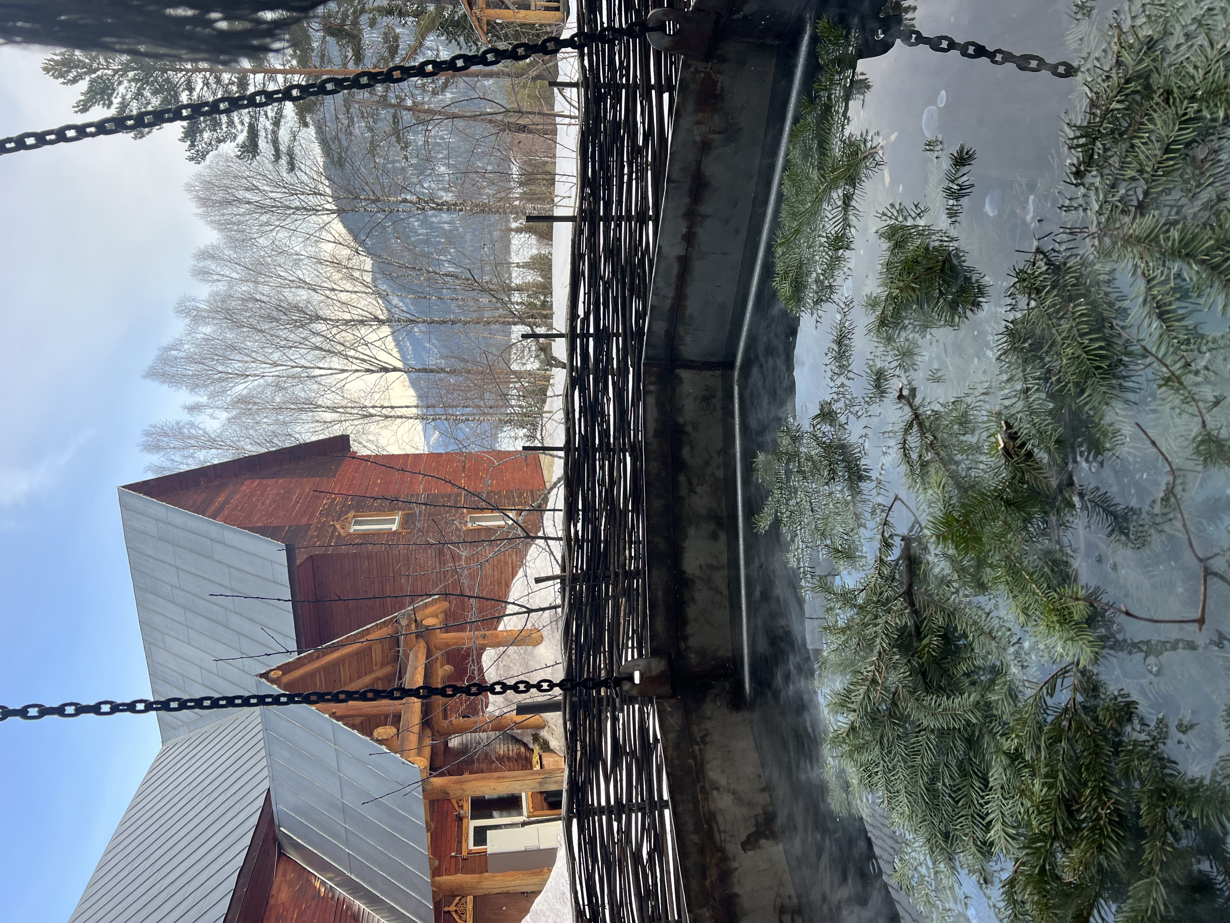 Фото Телецкие Терема