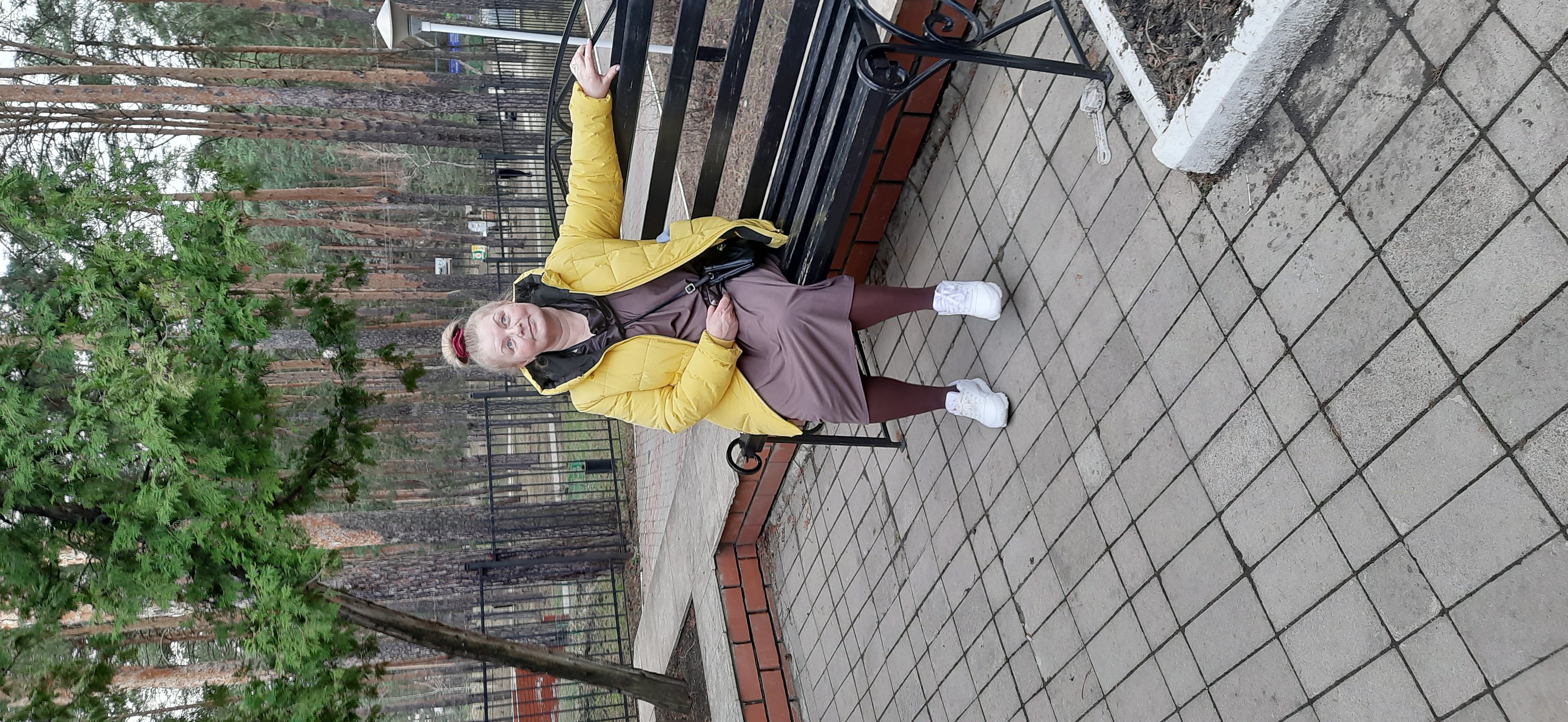 Фото Сосны плюс