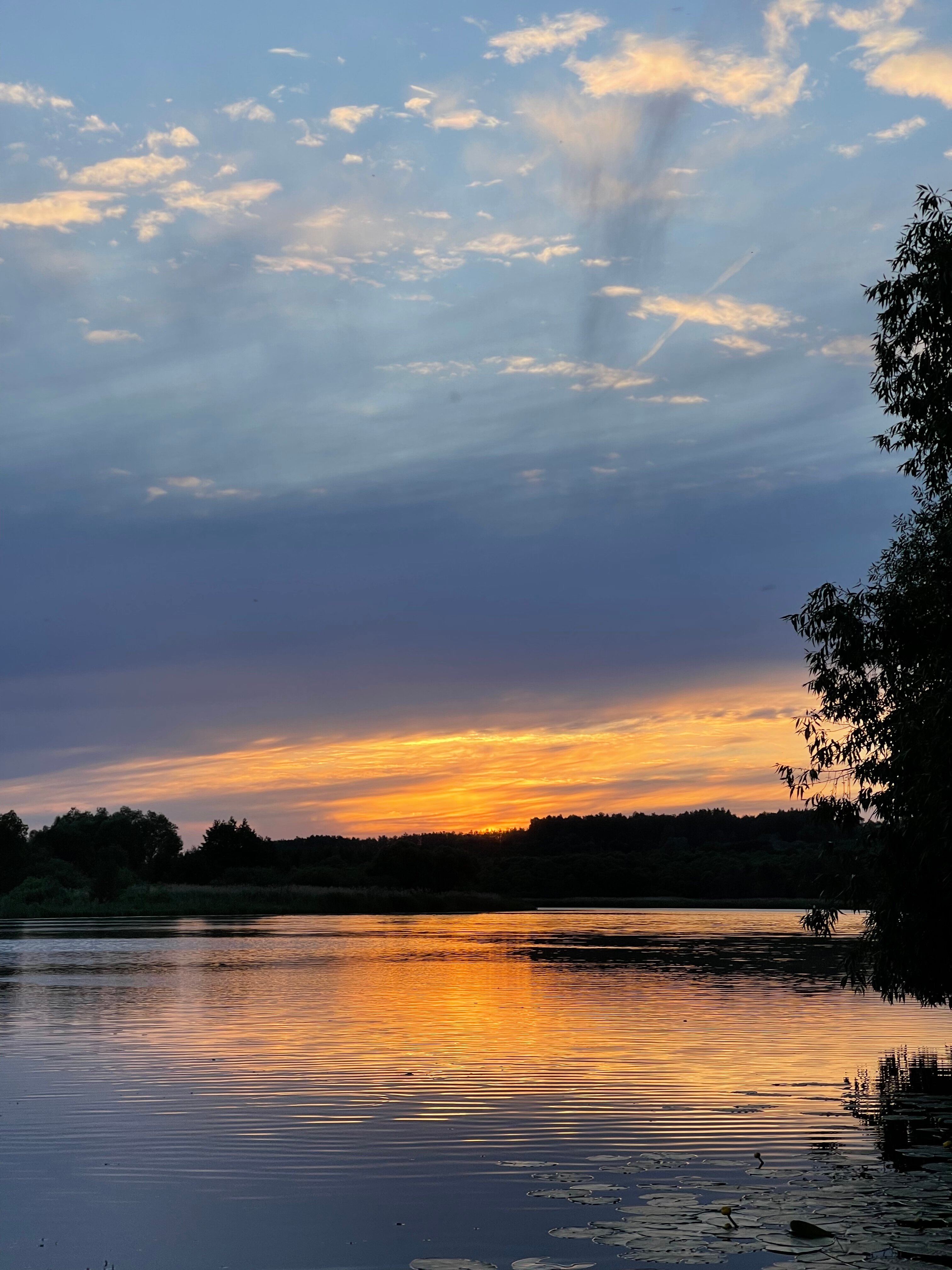 Фото Пронский Берег