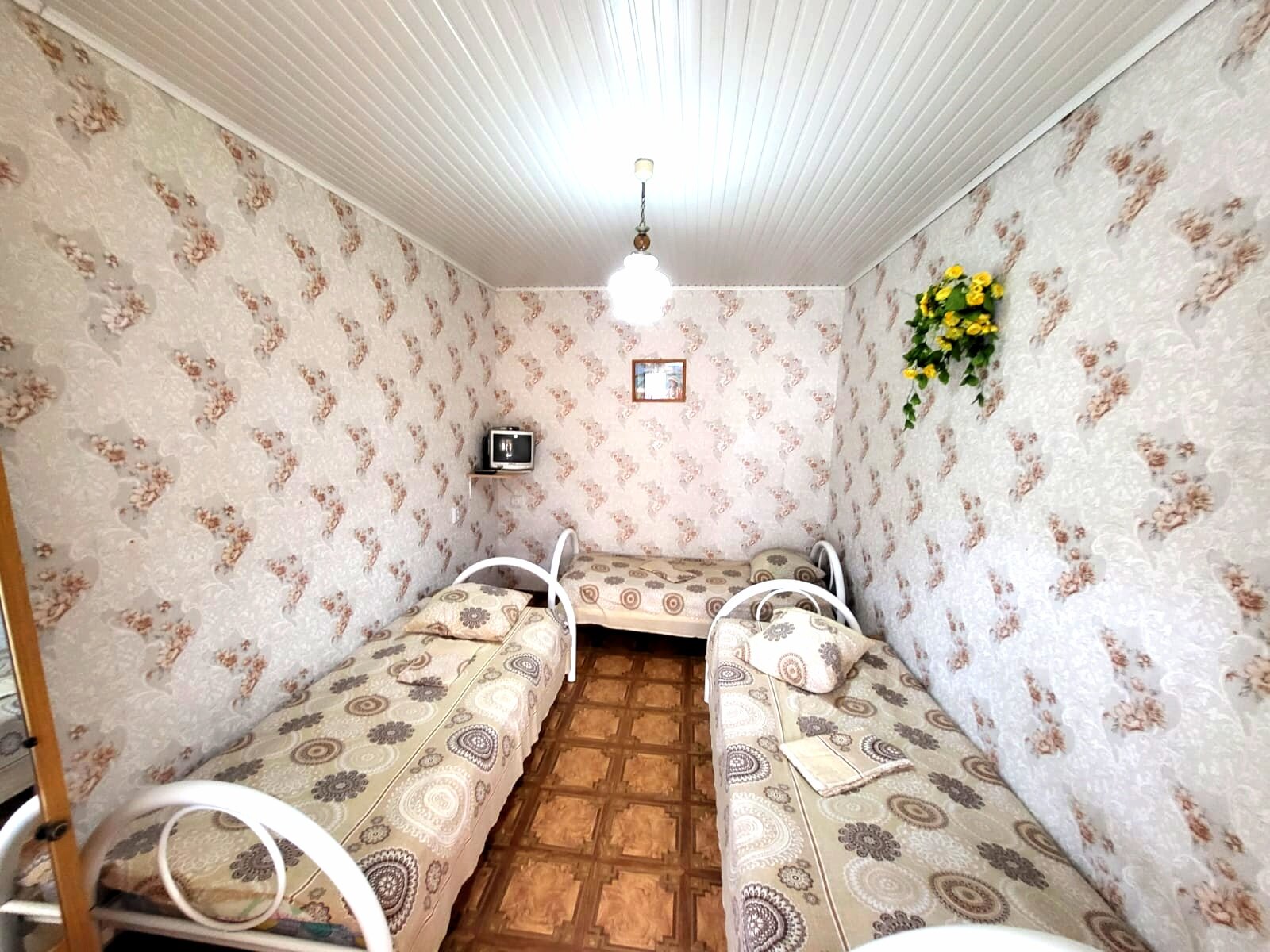 Фото Ариэль