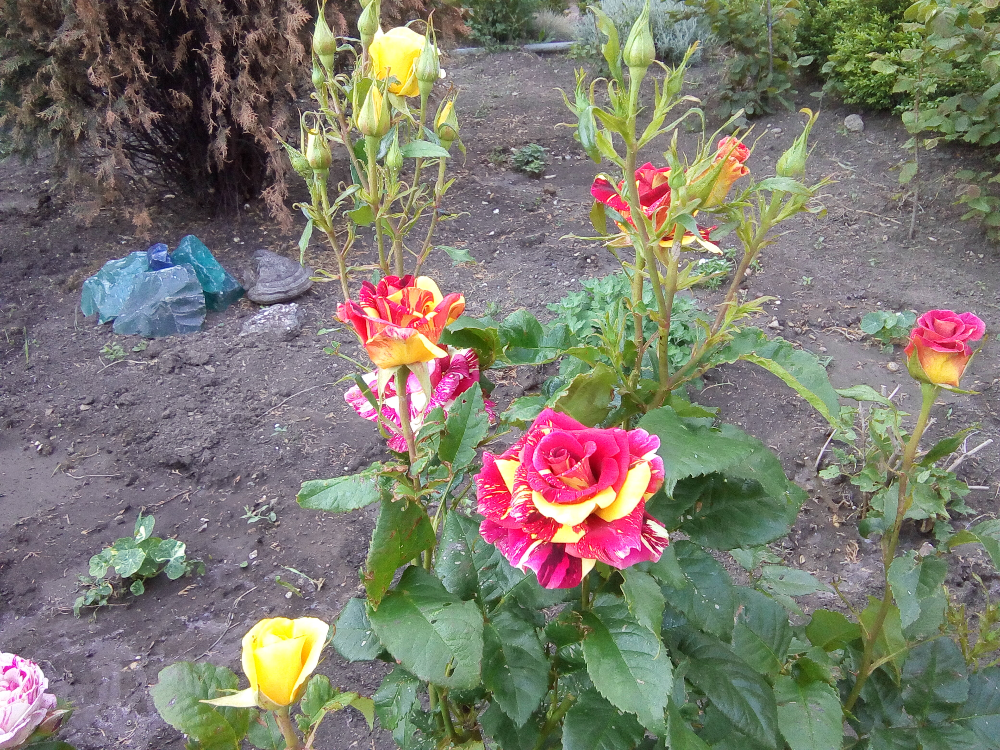 Фото Вилла Гаянэ