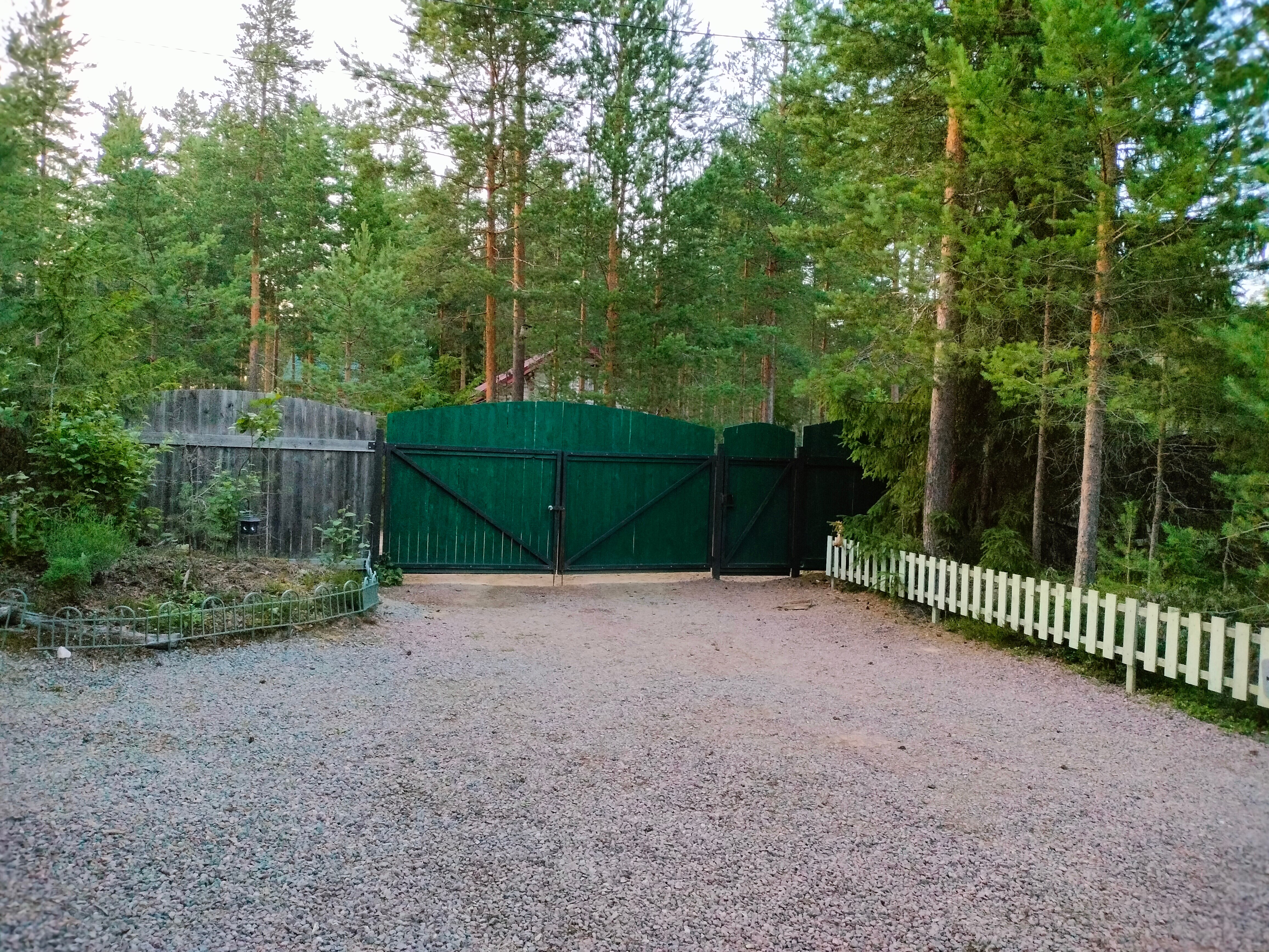 Фото Хвойный