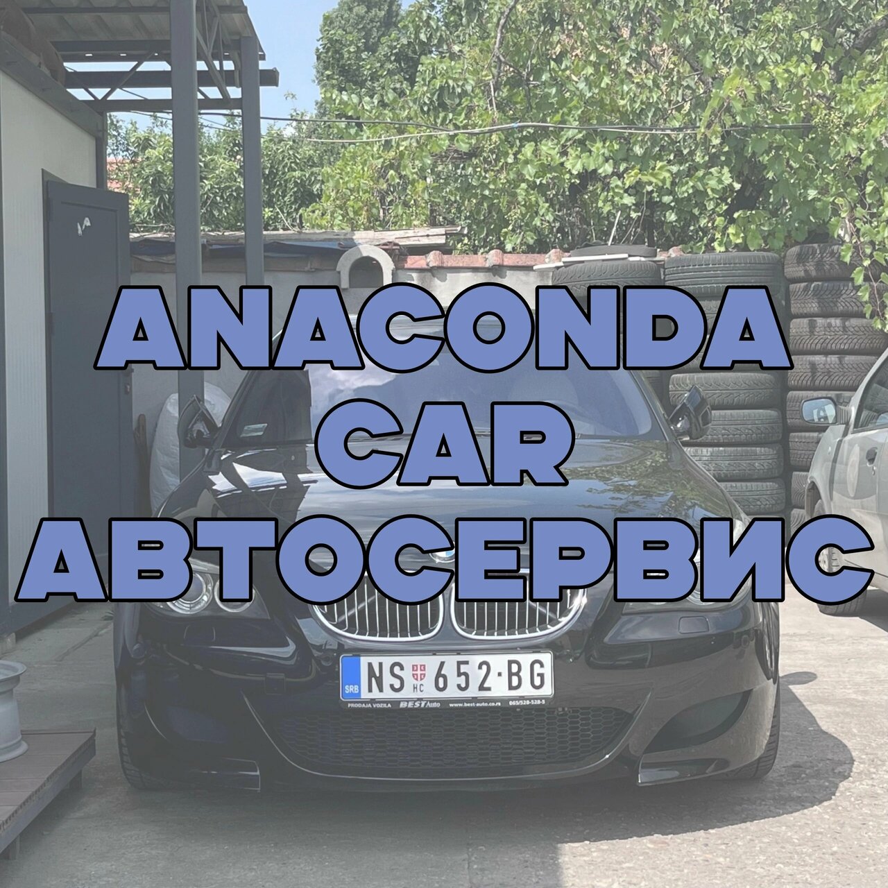 Anaconda Car