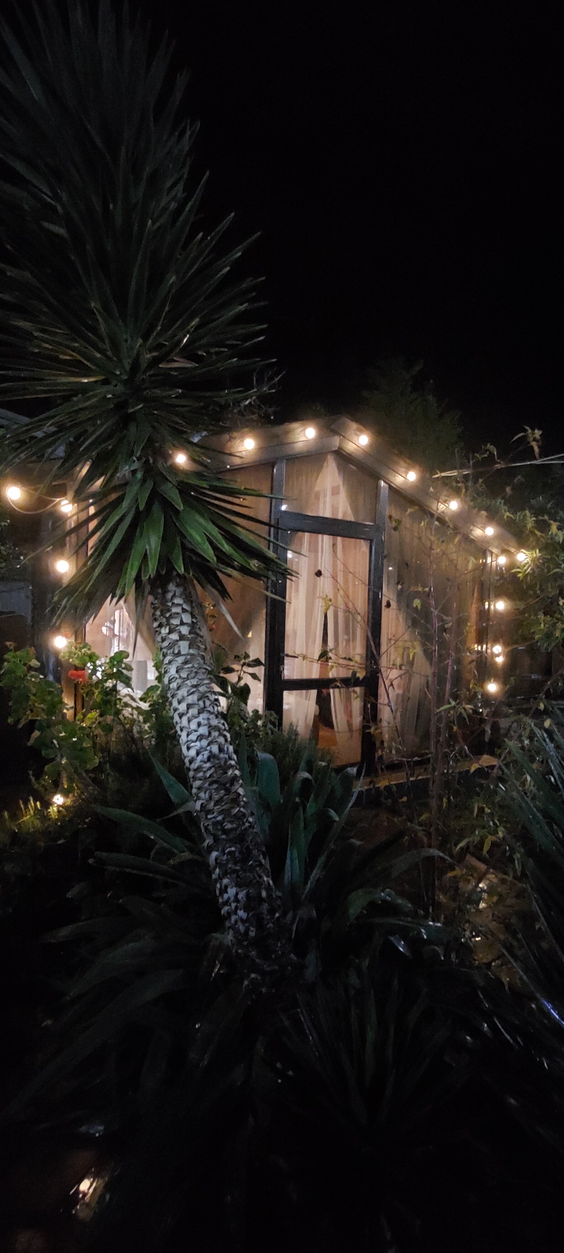 Фото Комплекс Коттеджи в Гагре