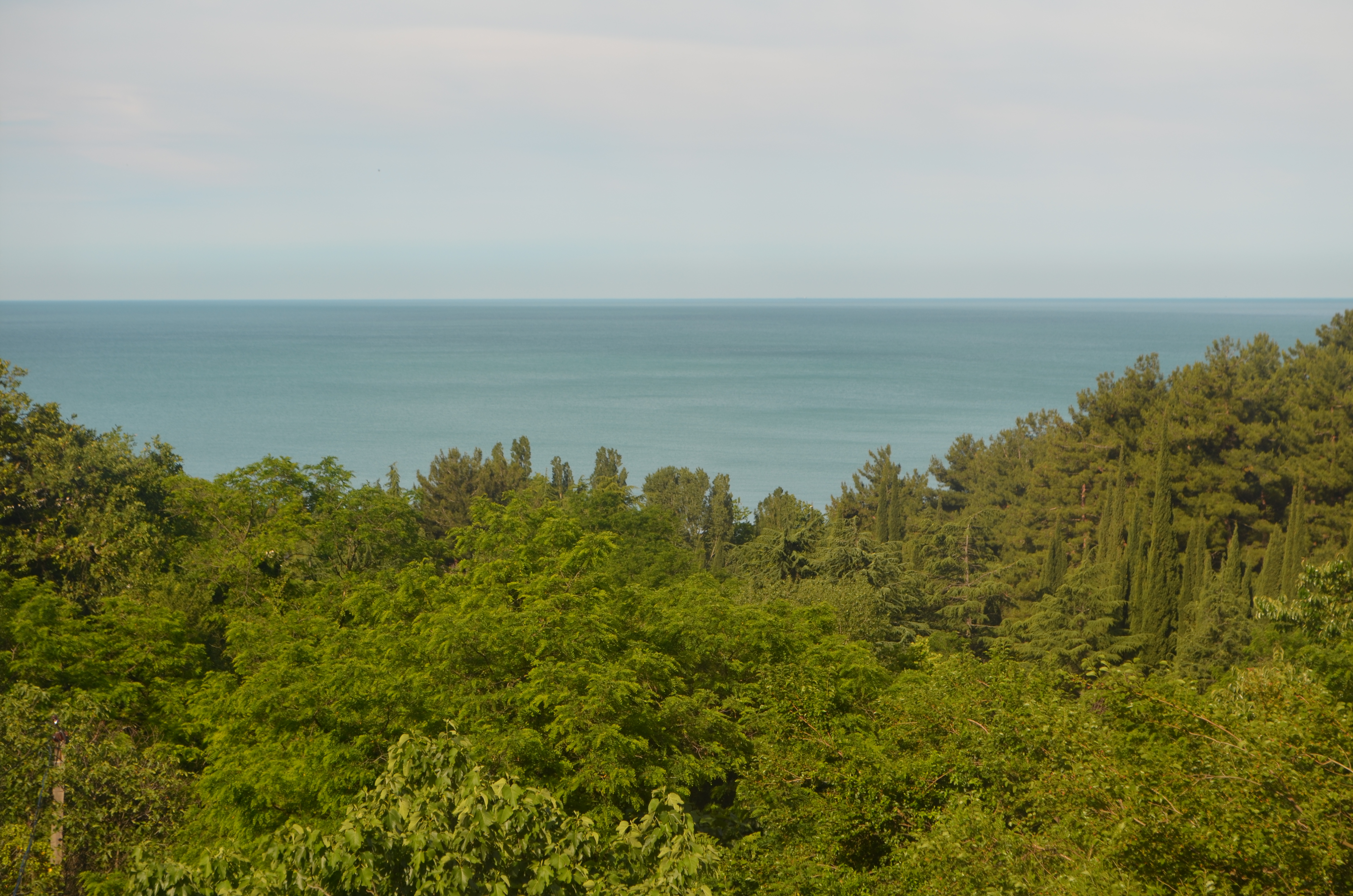 Фото Дом с флагом