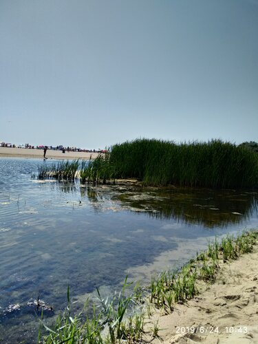 Uyda yalangoch dumbalar it uslubi