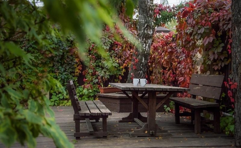 Фото Атланта Шереметьево