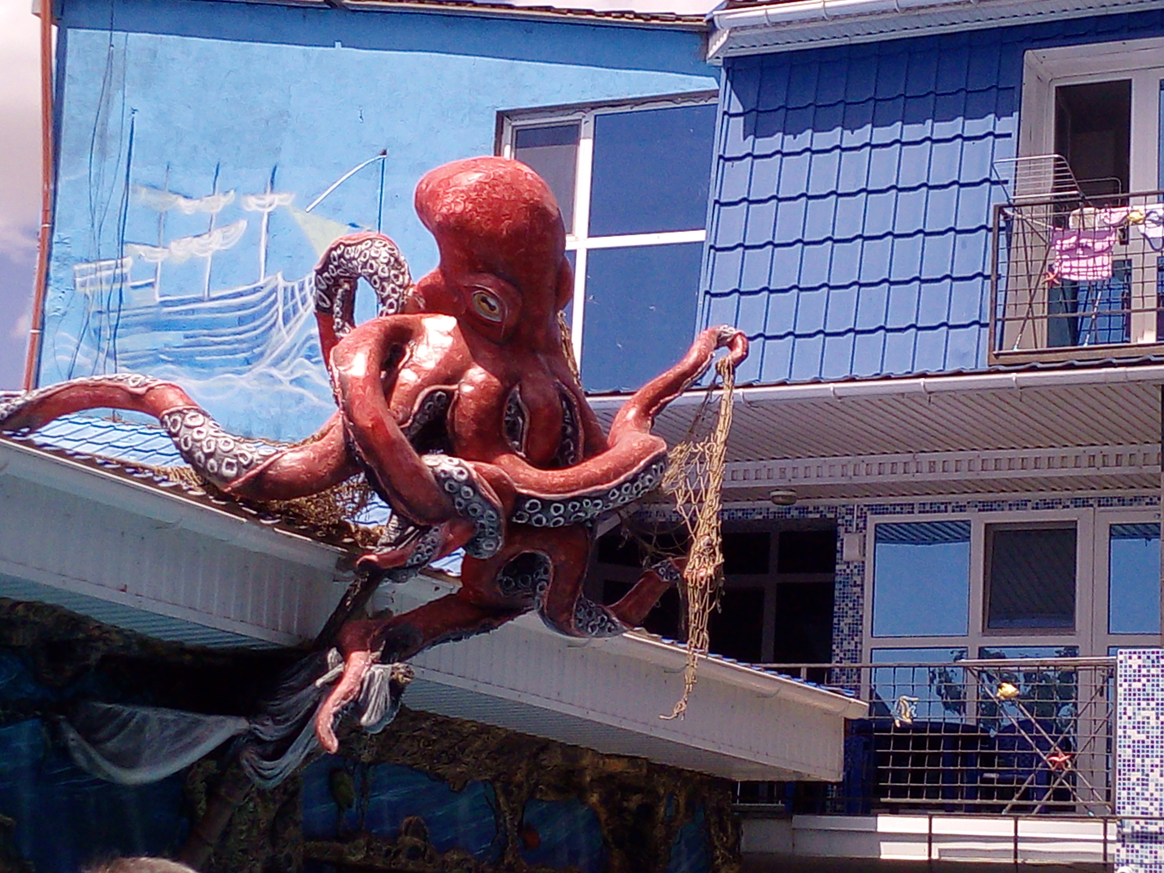 Фото Золотая рыбка