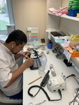 SabirovLab (Altufyevskoye Highway, 48к2), laboratorio dental