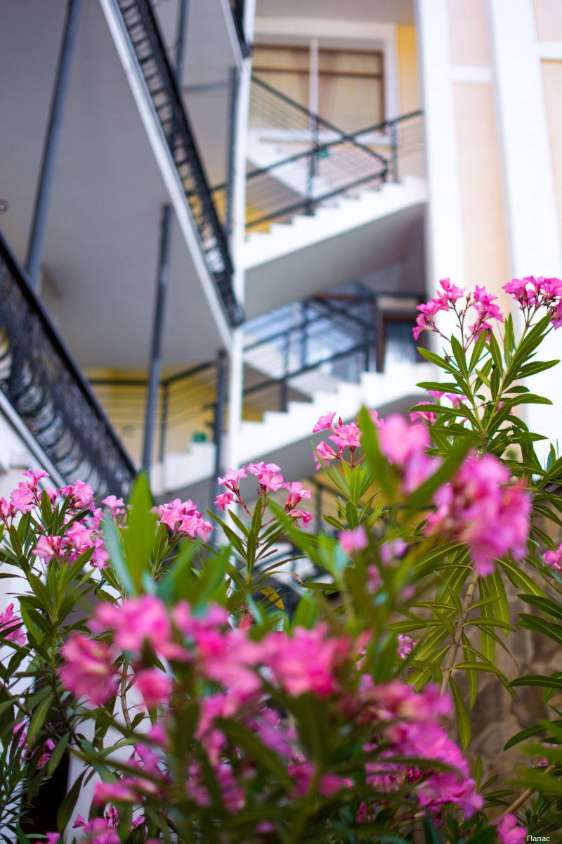 Фото отеля 5