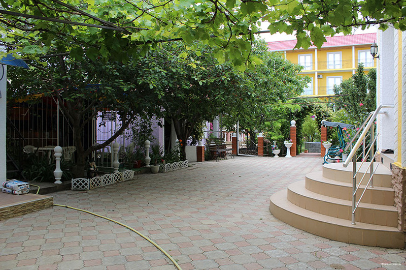 Фото Медовый месяц