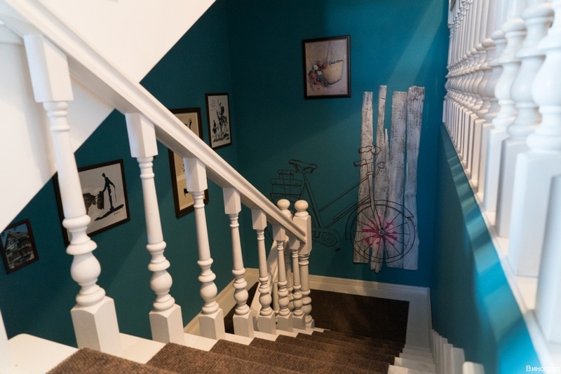 Фото Виноград