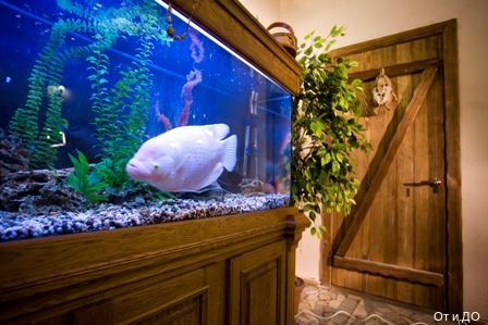 Фото От и ДО