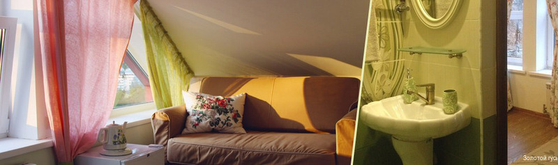 Фото Золотой Гусь