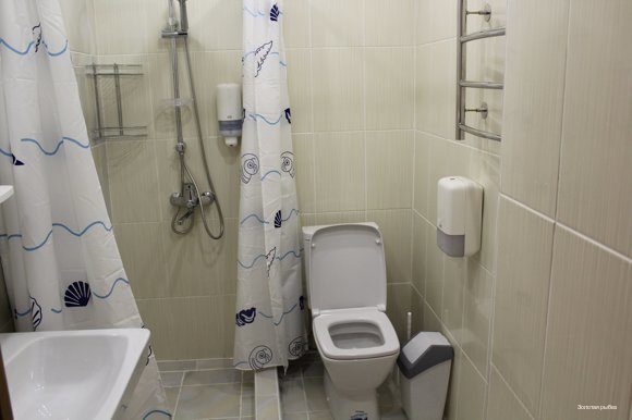 Фото Золотая рыбка