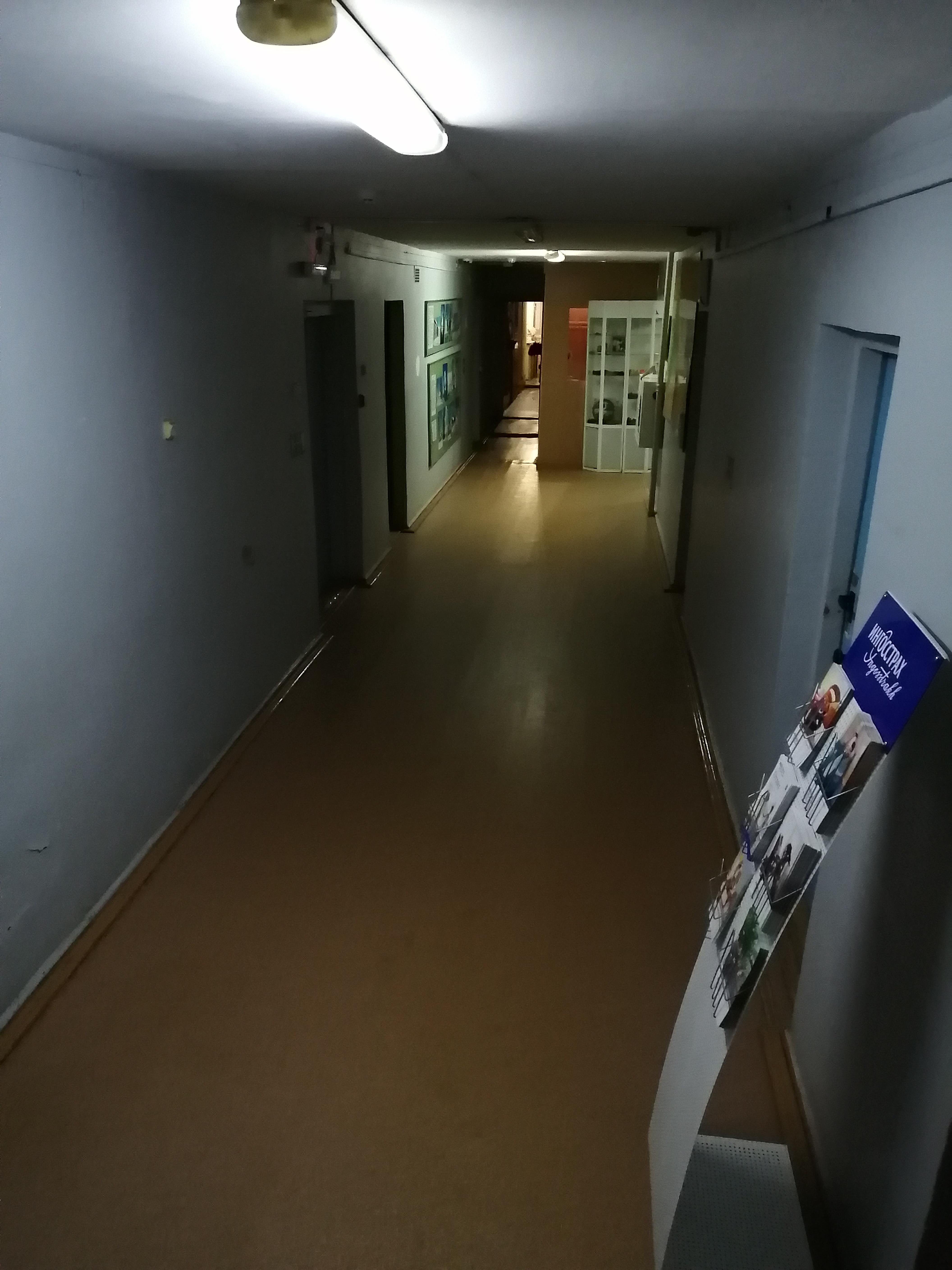 Фото Каргополочка