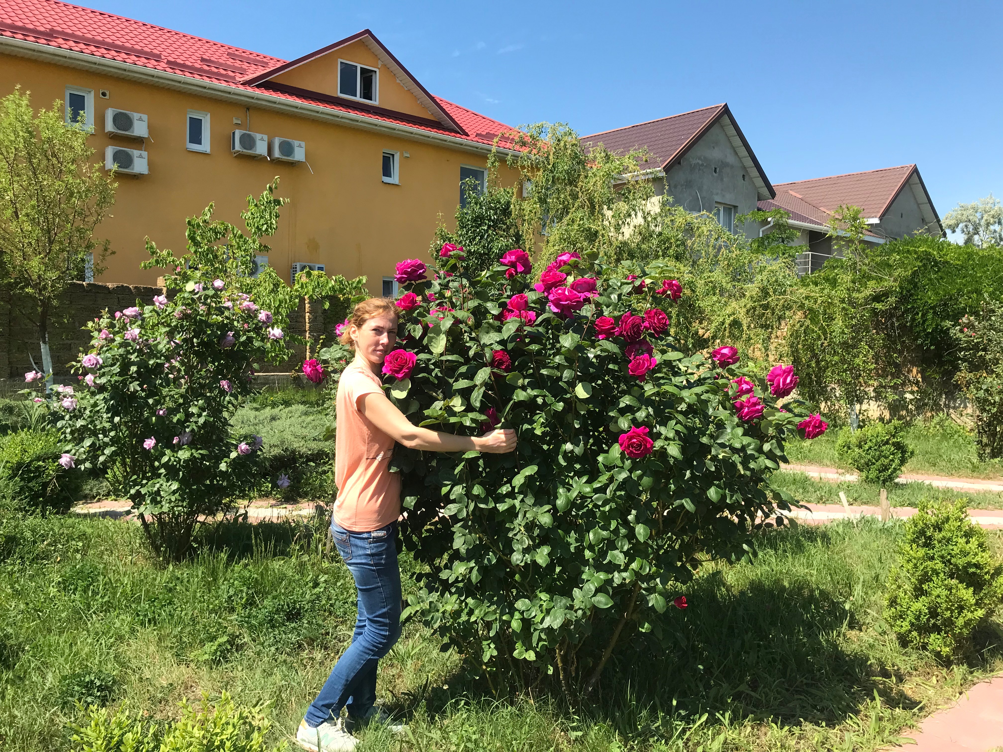 Фото Kapitan Vrungel