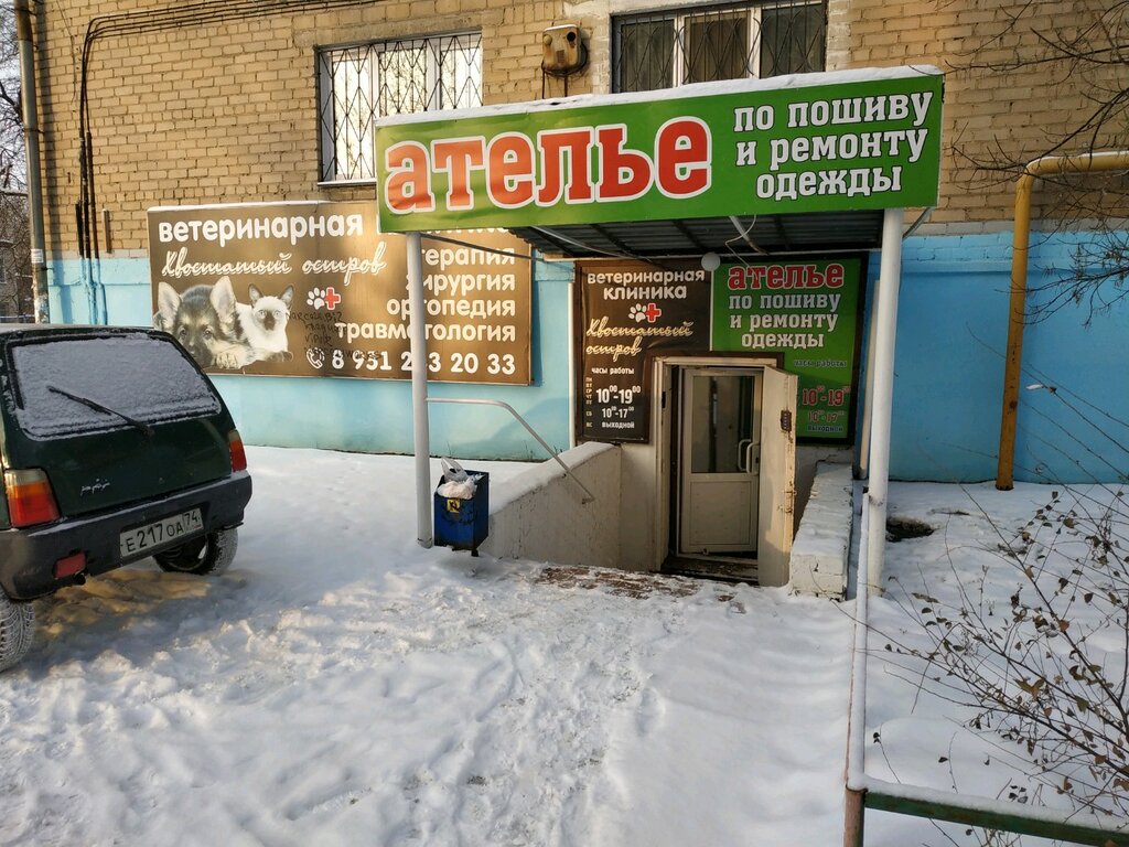 Ветеринарная клиника Хвостатый остров, Челябинск, фото