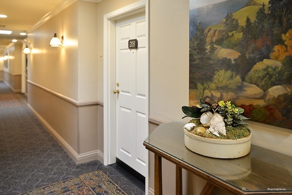 Фото Blue Dolphin Inn