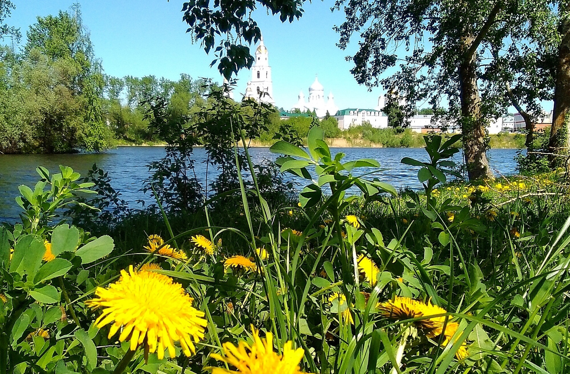 Фото Дивный дворик