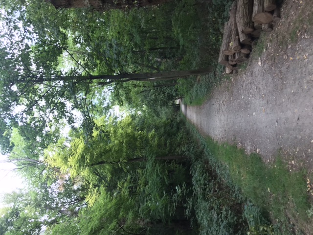 Фото Arion Cityhotel Vienna