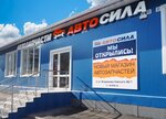 Avtosila (Vladimira Nevskogo Street, 46/1), auto parts and auto goods store