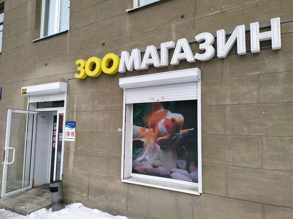 Золотая Рыбка Магазин Часы Работы