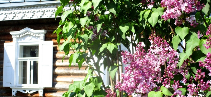 Фото В гости к Есенину