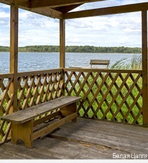 Фото Белая цапля