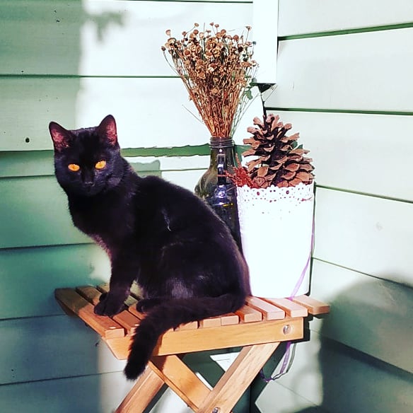 Фото Гостевой дом Шанти