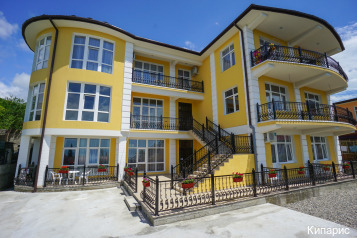 Фото Кипарис