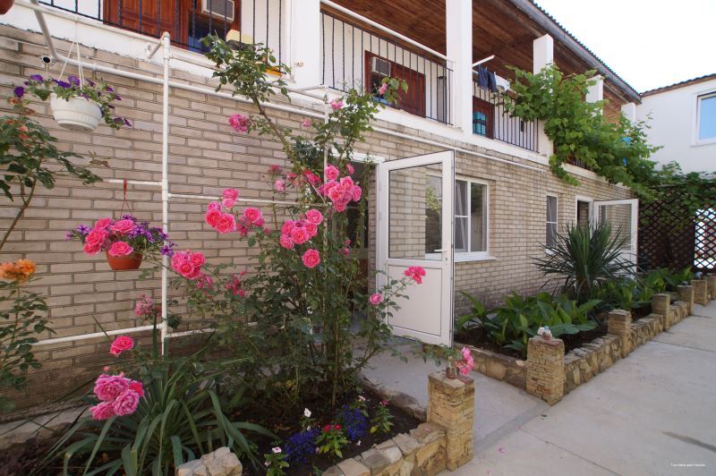 Фото Николь