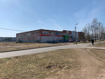 Shopping mall (rabochiy posyolok Dedovichi, ulitsa Yegorova, 10), shopping mall