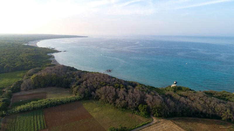 Фото Masseria Mongiò dell'Elefante
