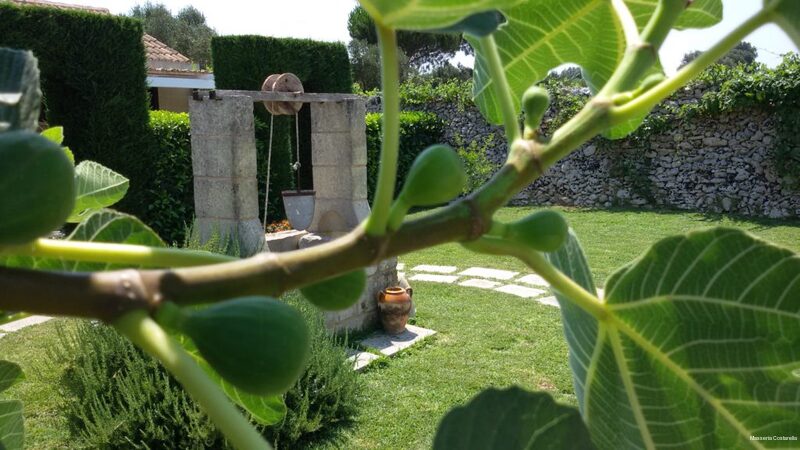 Фото Masseria Costarella