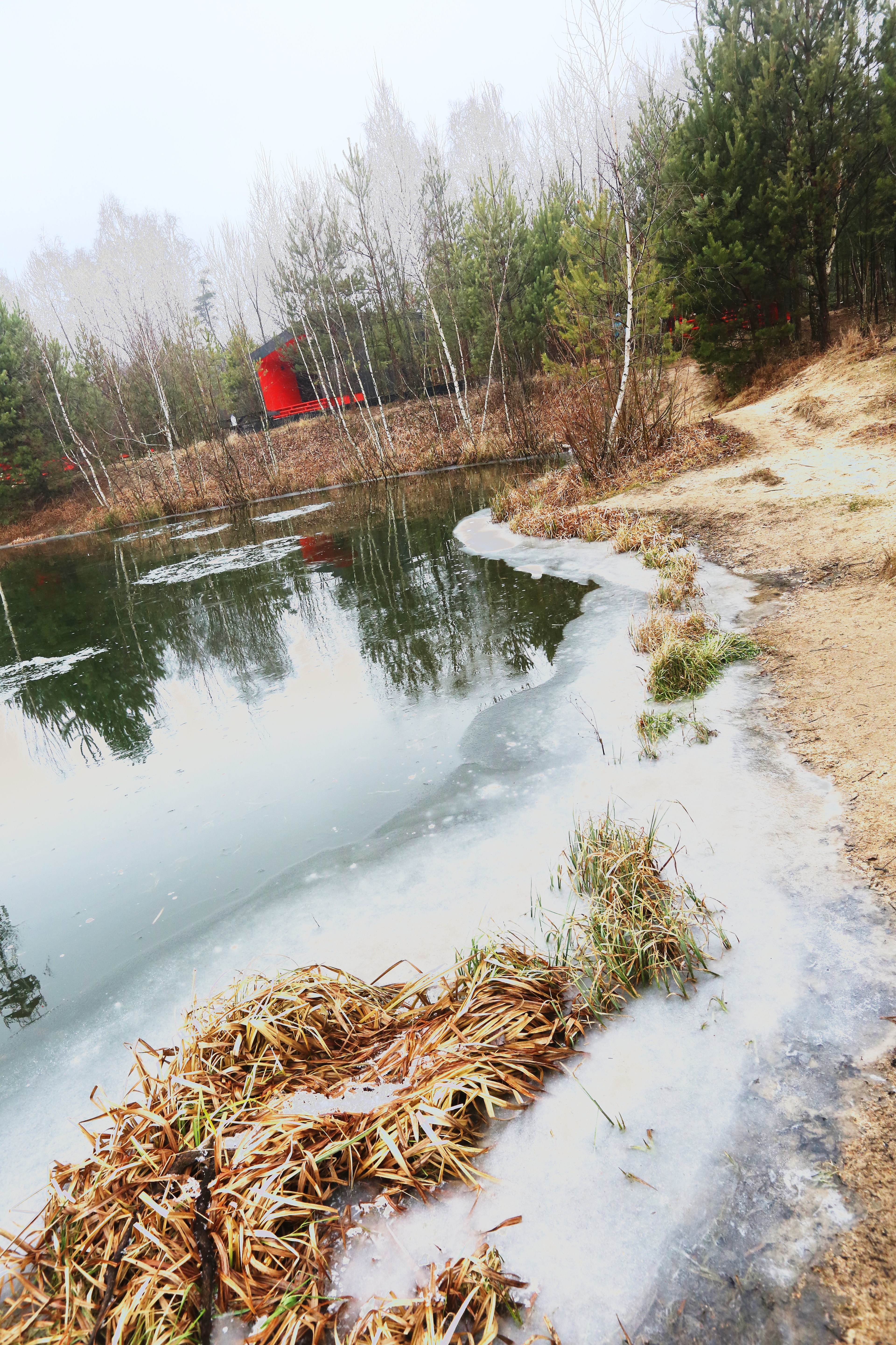 Фото Рыболовный клуб Литвиново