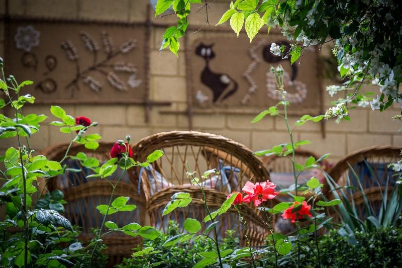 Фото Аквилон