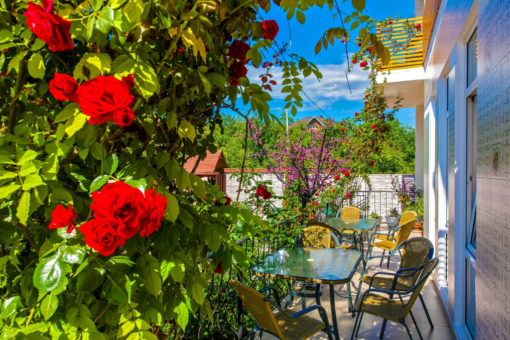 Фото Дольче Вита