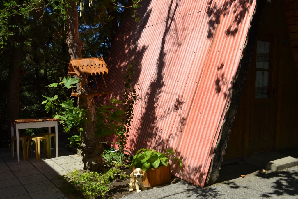 Фото Солнечное Море