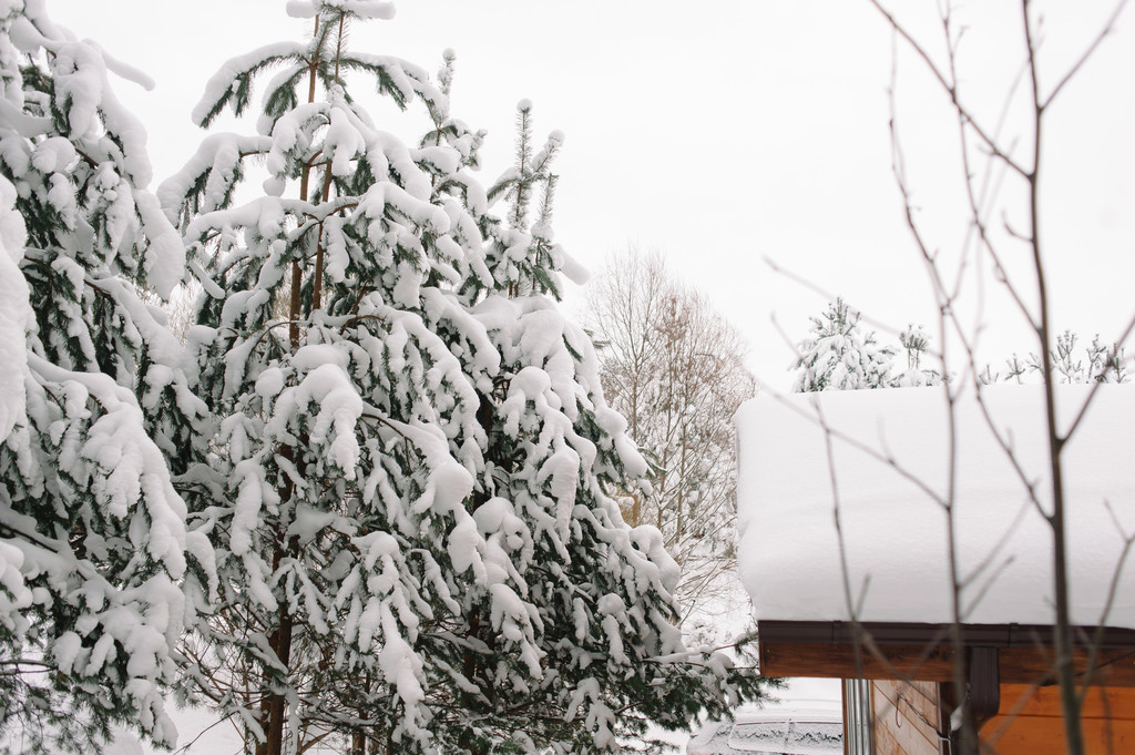 Фото Верховье