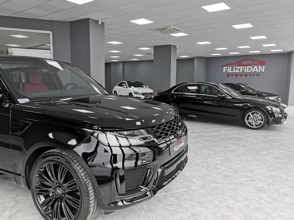 Car dealership Filizfidan Automotive, Serdivan, photo