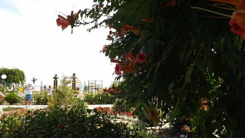 Гостиница Новинка в Ейске