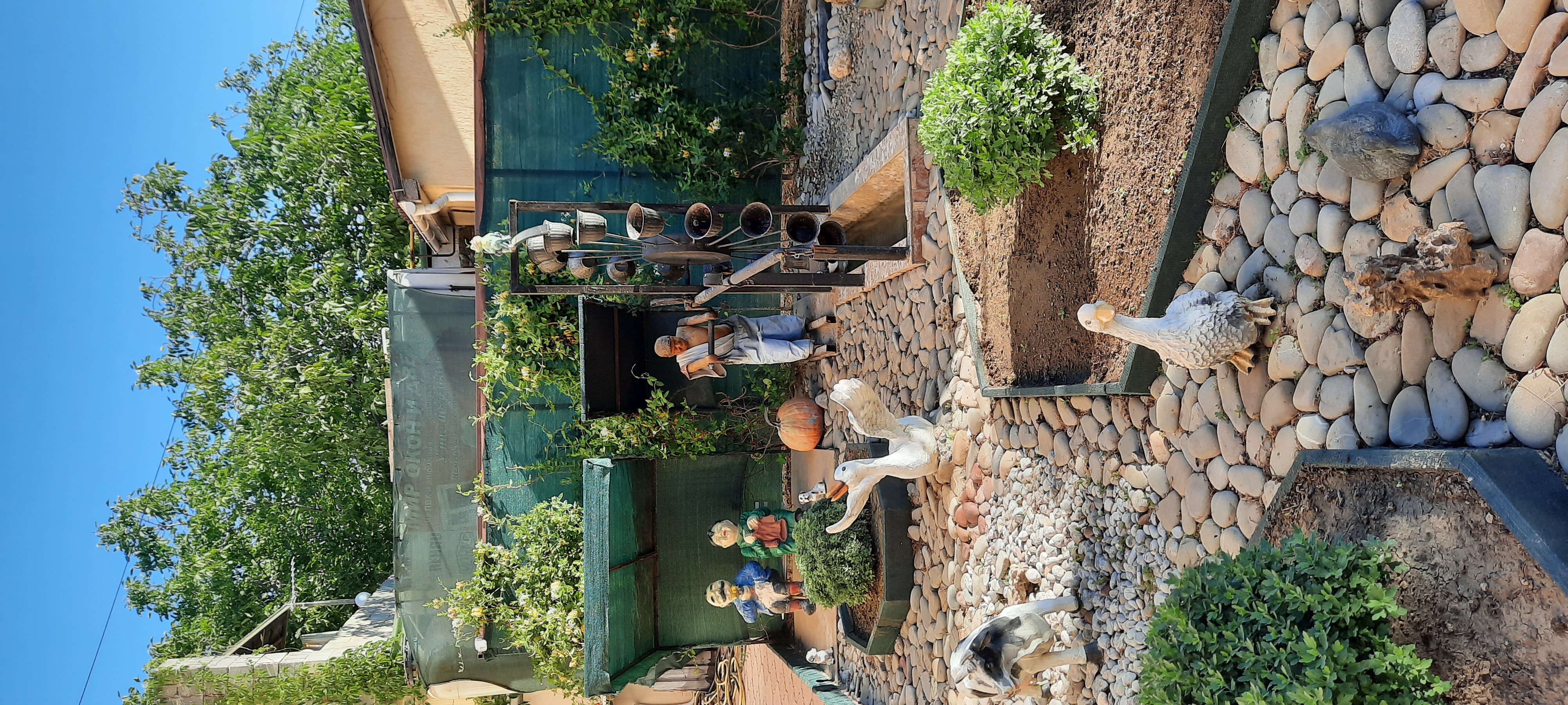 Фото Ласточкино гнездо