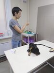 Umka (pereulok Andreyeva, 4/9), veterinary clinic