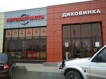 Dikovinka (posyolok Novosadovy, mikrorayon Novosadovy 41, Storozhevaya ulitsa, 10), gift and souvenir shop