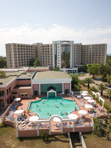 Самшитовая роща