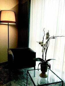 Гостиница Divan Cizre