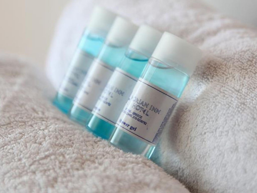 Фото Dorian Inn Hotel