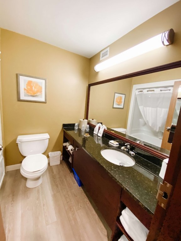 Фото Best Western Plus Grand-Sault Hotel & Suites