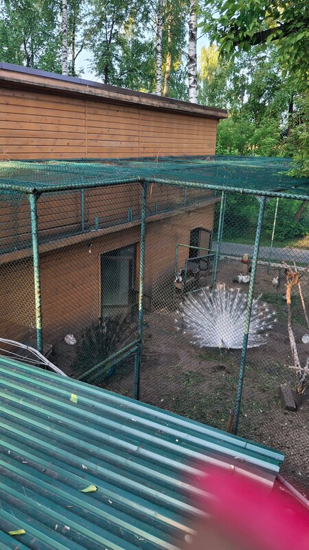 Виктория Вилладж — фото 24